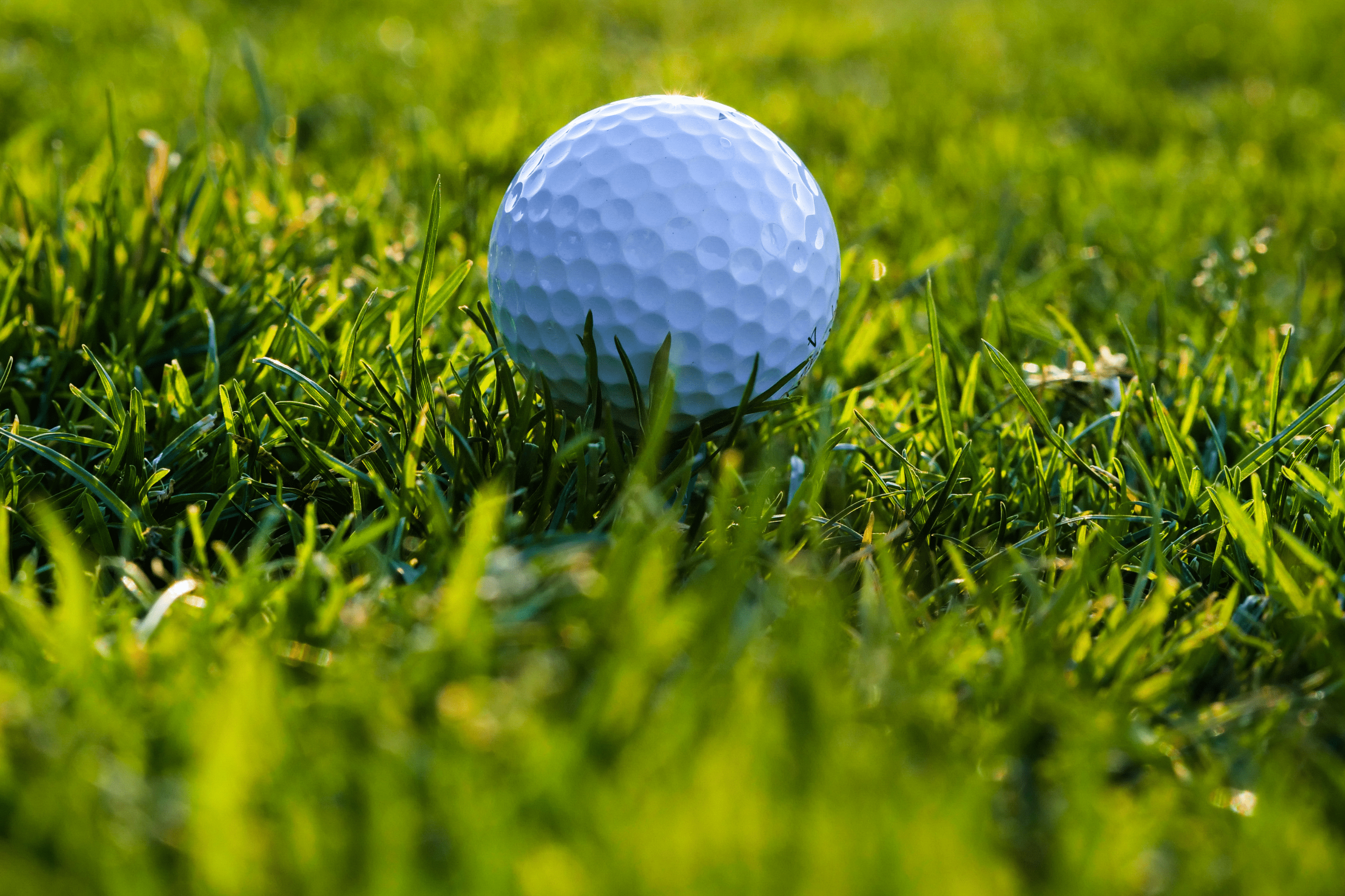 golf ball web pic